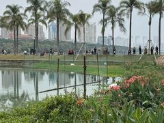 -南宁南湖公园