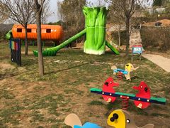 -西部长青自然儿童乐园