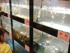 水产区-院8里·少城记忆老川菜(宽窄巷子店)