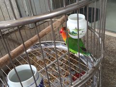 -亮河湾山庄
