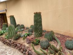 -正佳雨林生态植物园