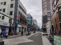 -宝健路步行街(Pedestrian Shopping Street)