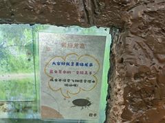 -上海大自然野生昆虫馆(东方明珠·爬宠昆虫探索中心)