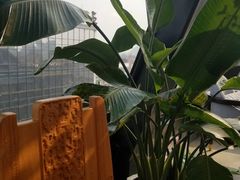 -四月吧餐厅(正阳步行街店)