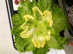 -红鼎豆捞·非遗鲍皇汤火锅(宝丰路店)