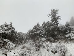 -神农架景区