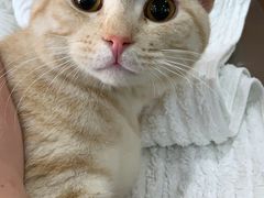 -爱侣宠医·鹦鹉专科·小型哺乳类·异宠专科(灵石路店)