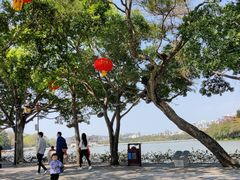 -桥西市场(环城西路)