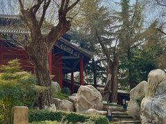 -中国唐苑
