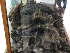 -吾穆勒蓬灰牛肉面·清真(北滨河中路店)