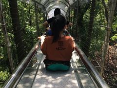 -华西村