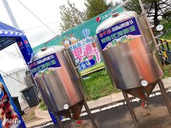 -第35届青岛国际啤酒节