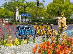 -东方体育中心(地铁站)