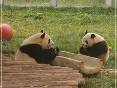 -西安秦岭野生动物园