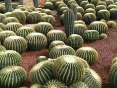 -南通洲际绿博园