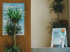 -LOTTA COFFEE(安居博文苑店)