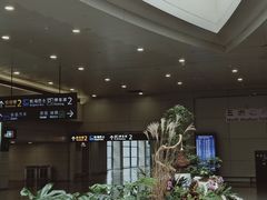 -龙阳路磁悬浮列车总站-停车场