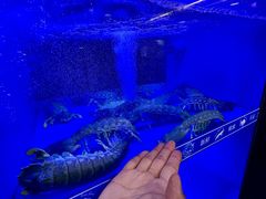 -一哥美食(总店)