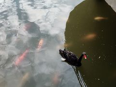 -芭东小镇温泉