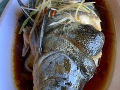 -小厨子私房菜·云南美食店