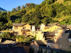 -杨家堂村