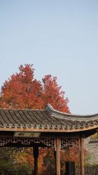 -颐和芥子园酒店·宴会厅
