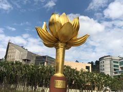 -金莲花广场