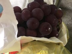 -马陆小张葡萄园农家乐