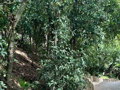 -狼山风景名胜区