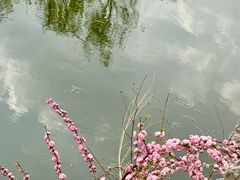 -文瀛公园
