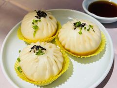 鲜肉生煎包-丰和日丽(瑞虹天地月亮湾店)