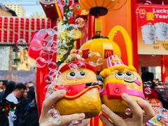-越秀西湖花市(广州城市广场花卉店)