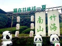 -天目湖涵田度假村
