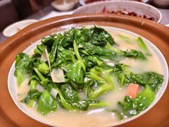 -麻都·成都菜(人民广场店)