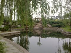 -石家庄市植物园