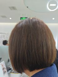 -YESIDO椰岛造型
