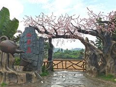 -田园寨农园观光园