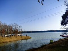 -上海海湾国家森林公园