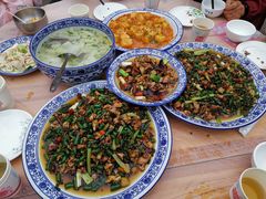 -铁山坪森林公园