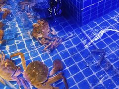 -五月罗马海鲜烤肉自助餐厅(印象城店)