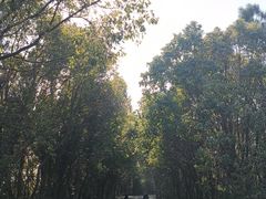 -雨花胜境