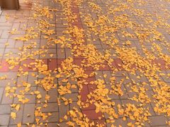 -东北大学(南湖校区)