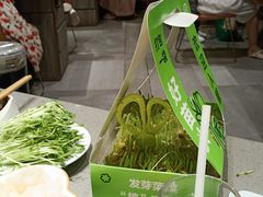 -海底捞火锅(龙岗星河COCO Park店)