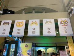 -猫咪博物馆(顶澳仔猫街店)