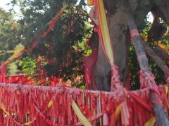 -西安汉城湖景区