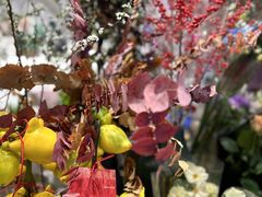 -豆豆花艺(新光天地店)