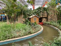 -南宫五洲植物乐园