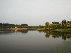 -东郊湿地公园