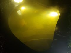 -溧阳天目湖天沐温泉