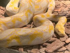 -皇家极地海洋世界-售票处